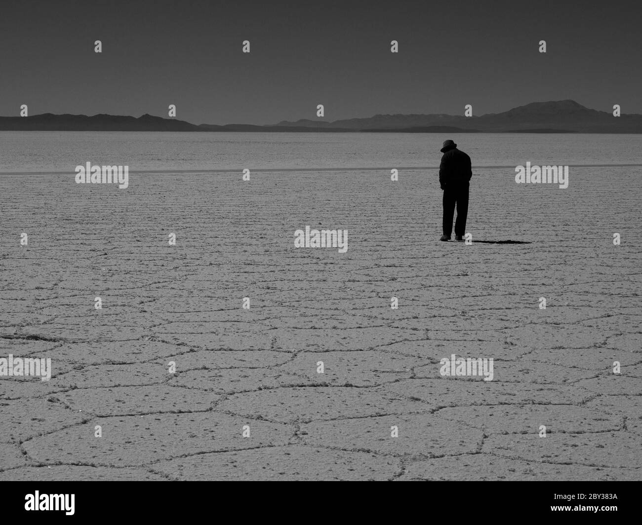 OLYMPUS FOTOCAMERA DIGITALE Foto Stock