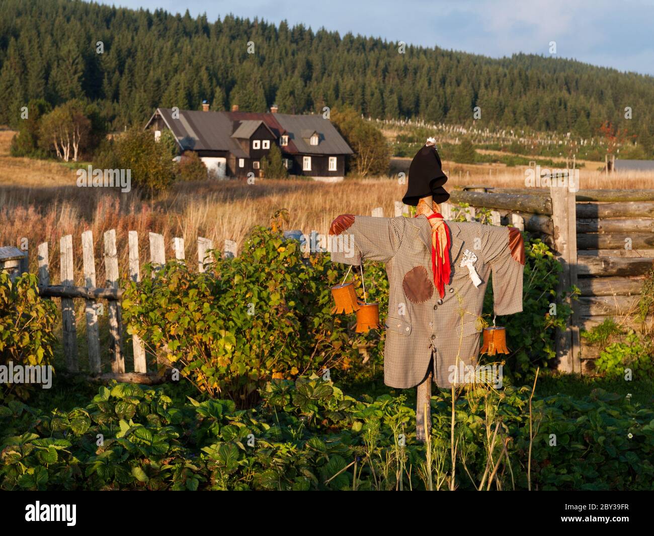 Lo Scarecrow nel giardino alla sera Foto Stock