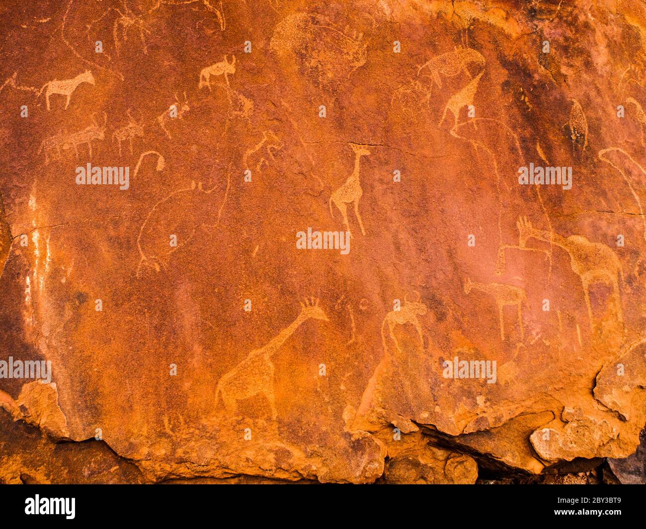 Incisioni Boscimane nella roccia di granito, Twyfelfontein Patrimonio dell'Umanità dell'UNESCO, Regione di Kunene, Damaraland, Namibia, Africa. Foto Stock