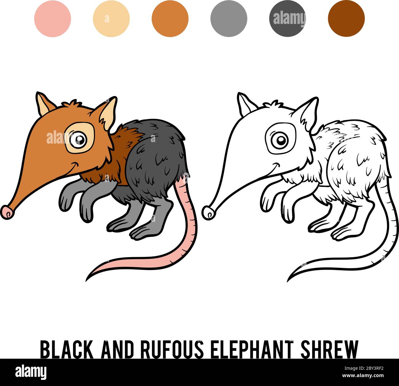 Libro da colorare per bambini, elefante nero e rufous shrew Illustrazione Vettoriale