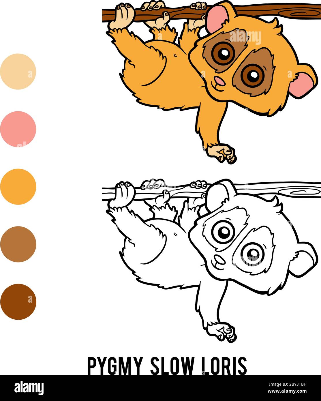 Libro da colorare per i bambini, Pigmy Slow loris Illustrazione Vettoriale