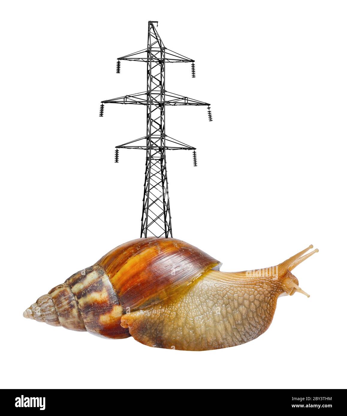 Lumaca con trasmissione elevata Foto Stock