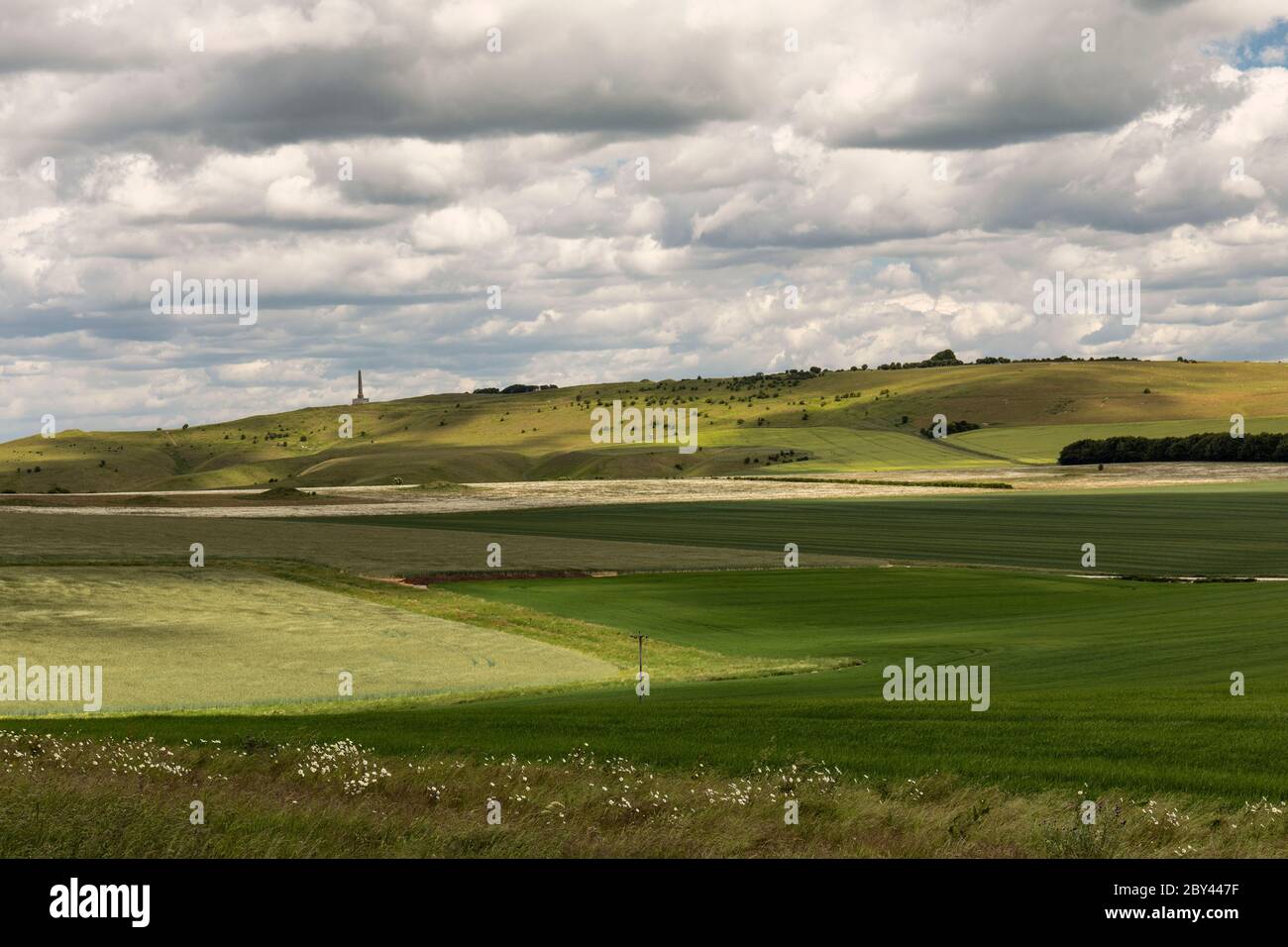Vista dalla cima della collina di Morgans, che guarda verso un monumento illuminato di Lansdowne e Calstone and Cherhill Downs, Wiltshire England, UK. Foto Stock