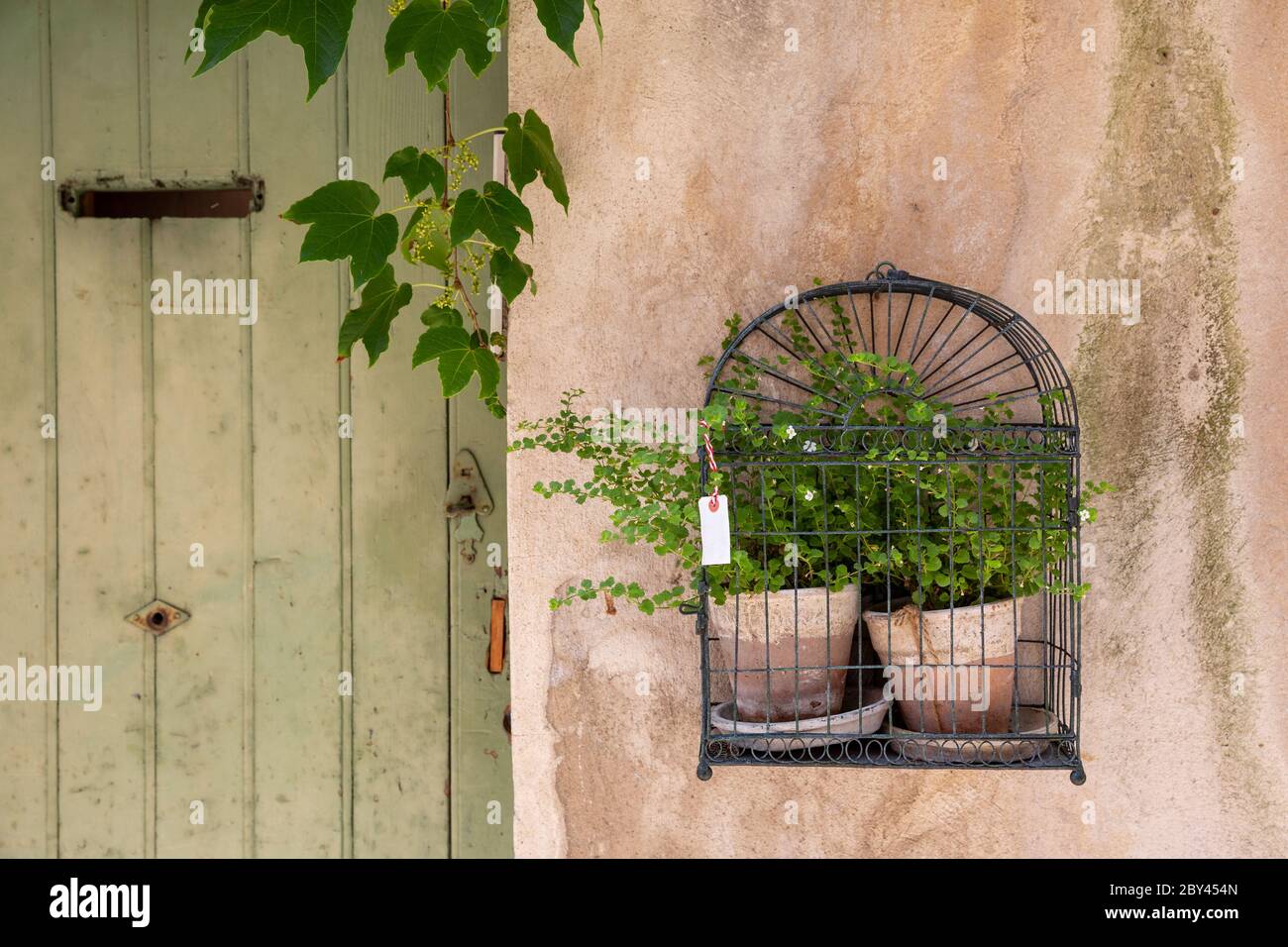 Un paio di piante montate in una bella mostra a parete in Provenza Francia accanto a una porta verde Foto Stock