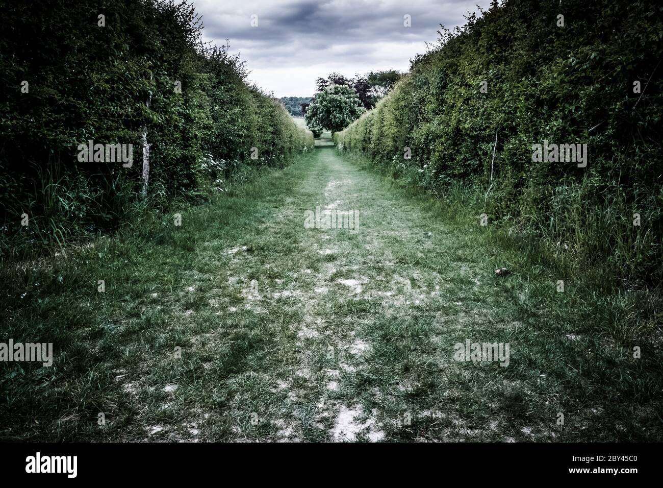 Vista vuota di un sentiero panoramico visto nella campagna inglese. Il terreno sabbioso è evidente nell'immagine. Foto Stock