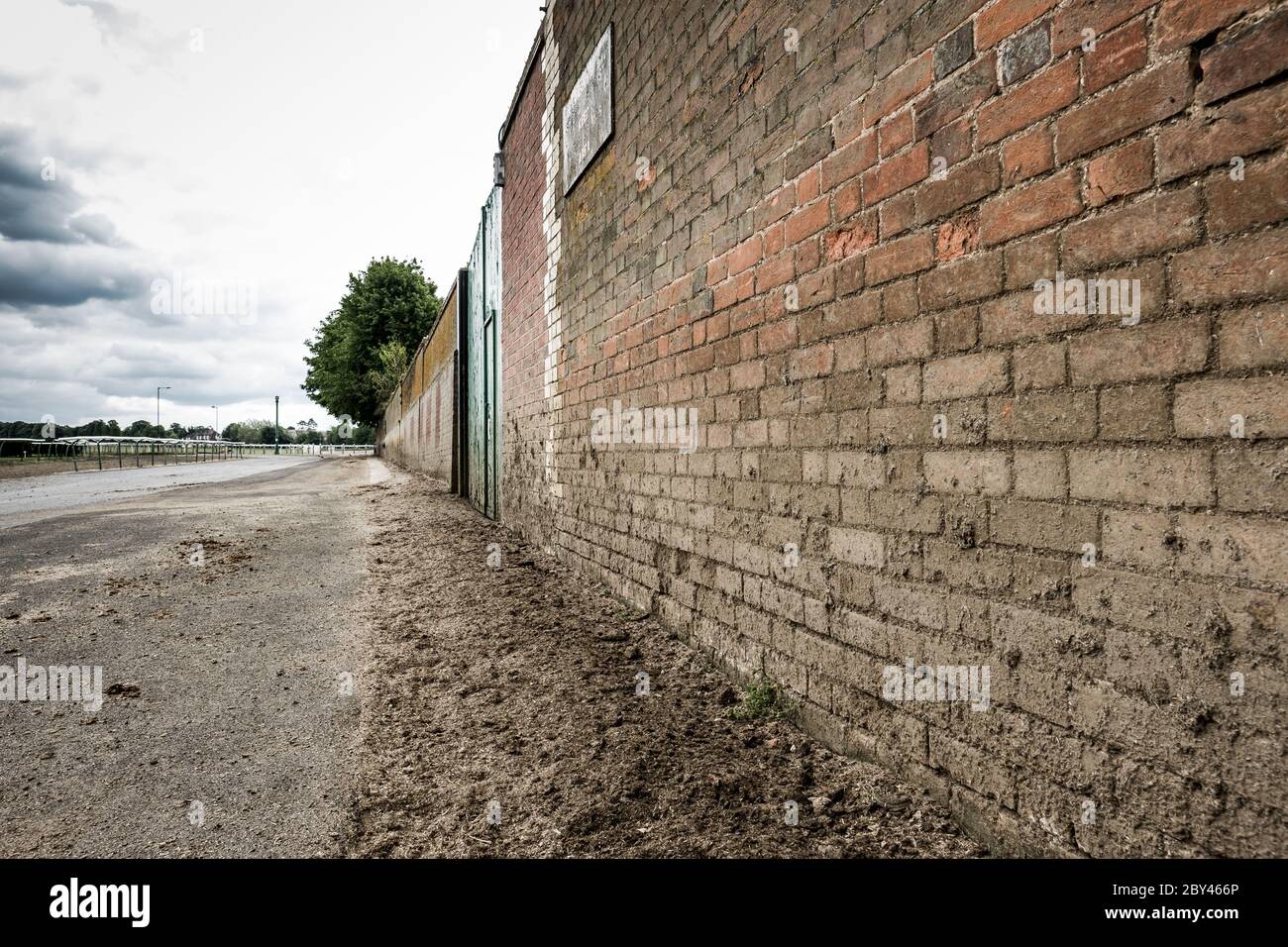 Superficie ruvida di un muro di mattoni intemperie, che mostra il fango essiccato sulla metà inferiore della parete e adiacente strada. Foto Stock