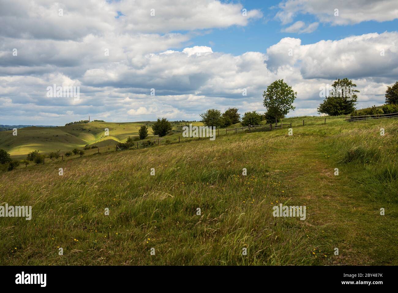 Sentiero a piedi sulla collina di Morgans con Cherhill Down & Lansdowne Monument in the distance - UN sito di interesse scientifico speciale, Wiltshire, Inghilterra, UK Foto Stock