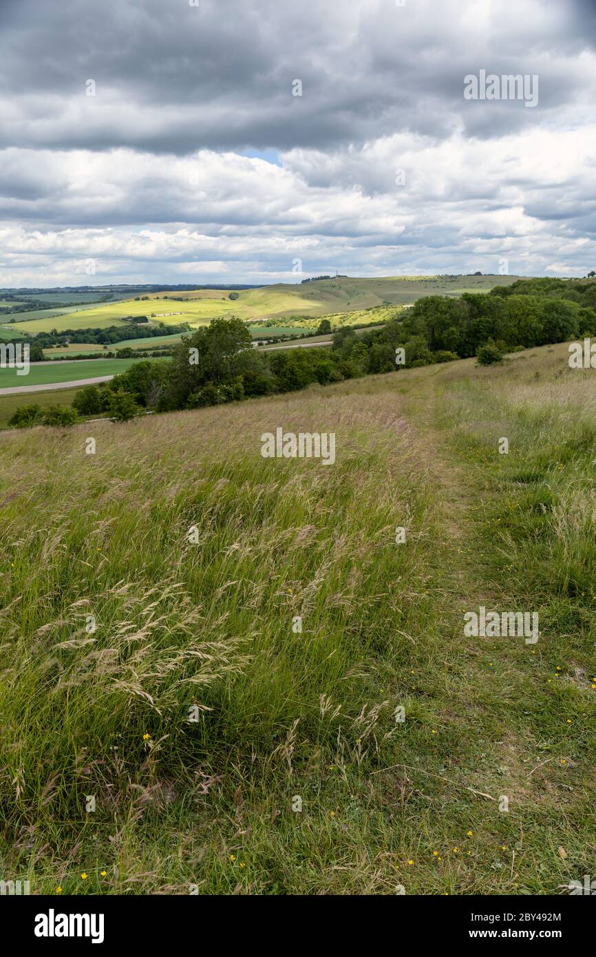 Sentiero a piedi sulla collina di Morgans guardando verso Cherhill giù - Sito di interesse scientifico speciale, Wiltshire, Inghilterra, Regno Unito Foto Stock