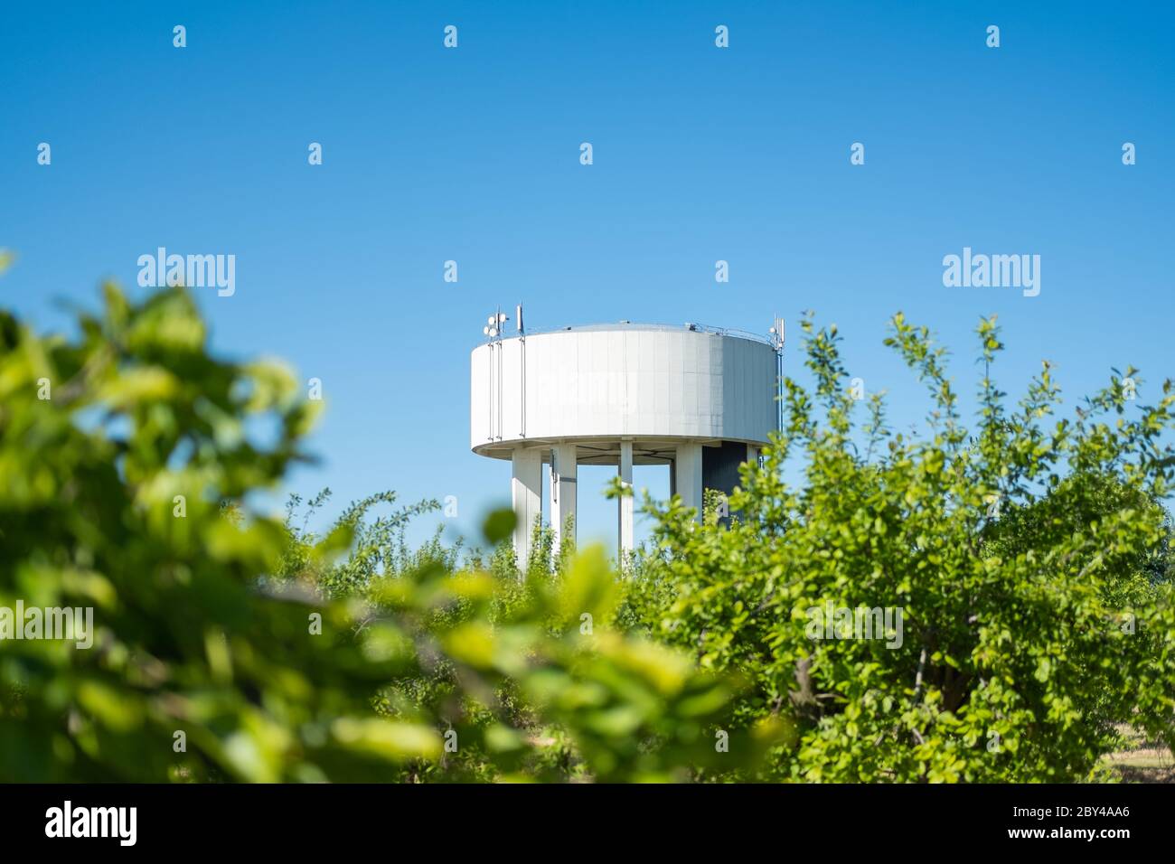 Lontano bianco dipinto torre d'acqua visto attraverso alberi di meleti frutteto denso in una posizione rurale. Le antenne 5G appena montate sono visibili sulla parte superiore. Foto Stock