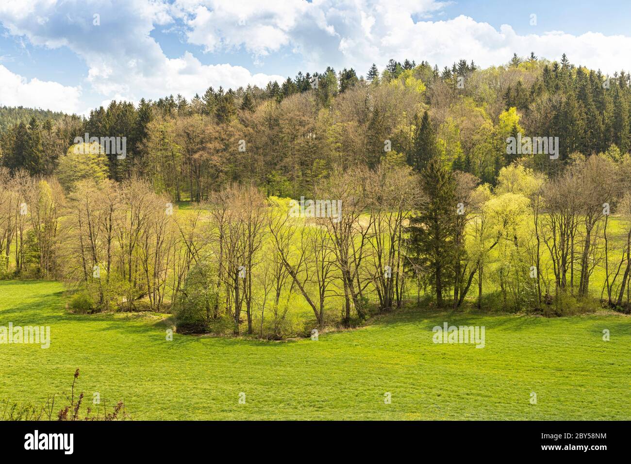 Ruscello meandering, pianura alluvionale con foresta alluvionale in primavera, Germania, Baviera, Isental Foto Stock