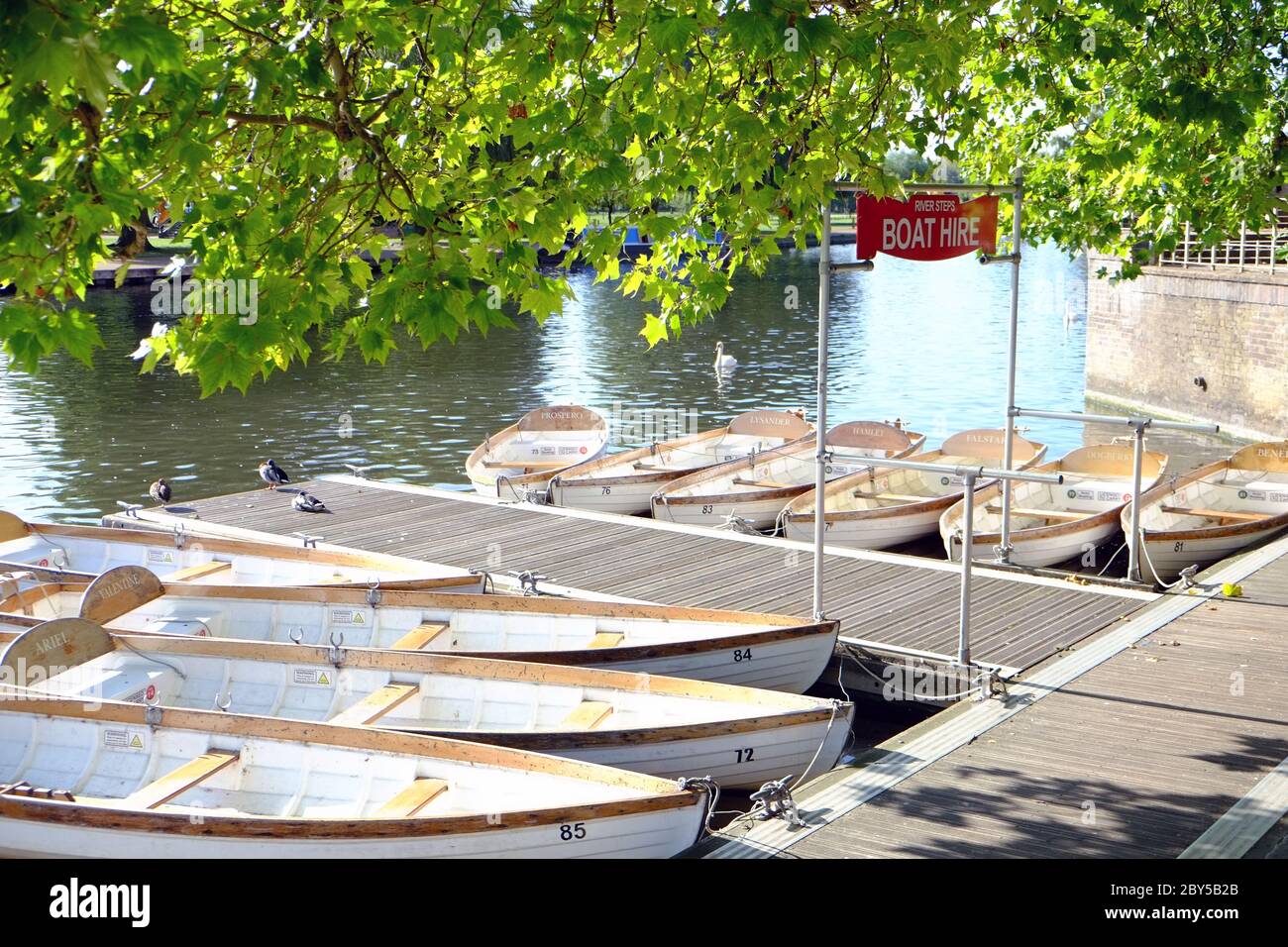 Noleggio barche presso la Royal Shakespeare Theatre Steps, Stratford-upon-Avon, Inghilterra, Regno Unito Foto Stock