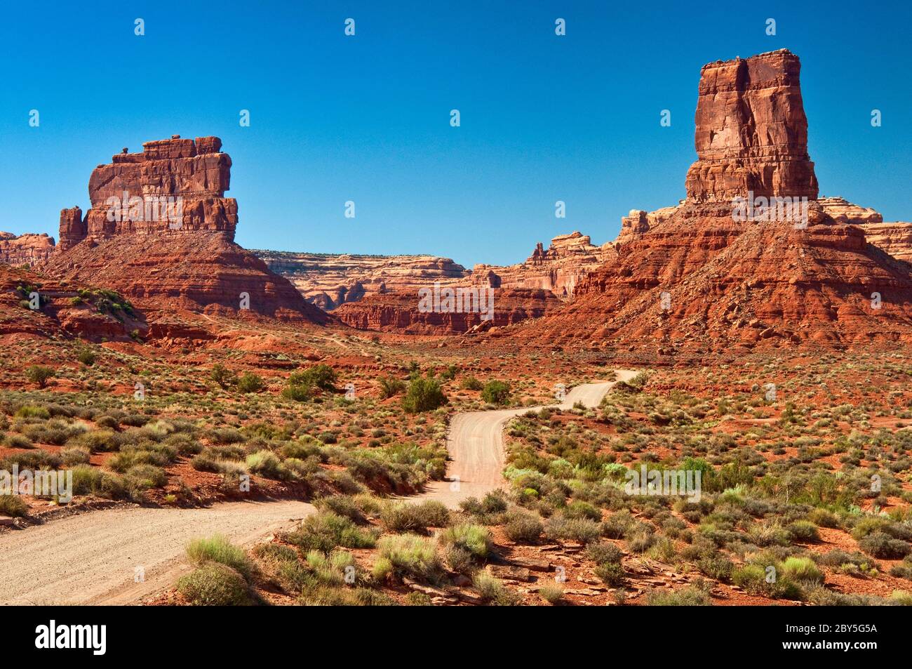 Strada sterrata, formazioni rocciose di arenaria su appartamenti a spazzola nella Valle degli dei, Bears Ears National Monument, Cedar Mesa, Utah, USA Foto Stock