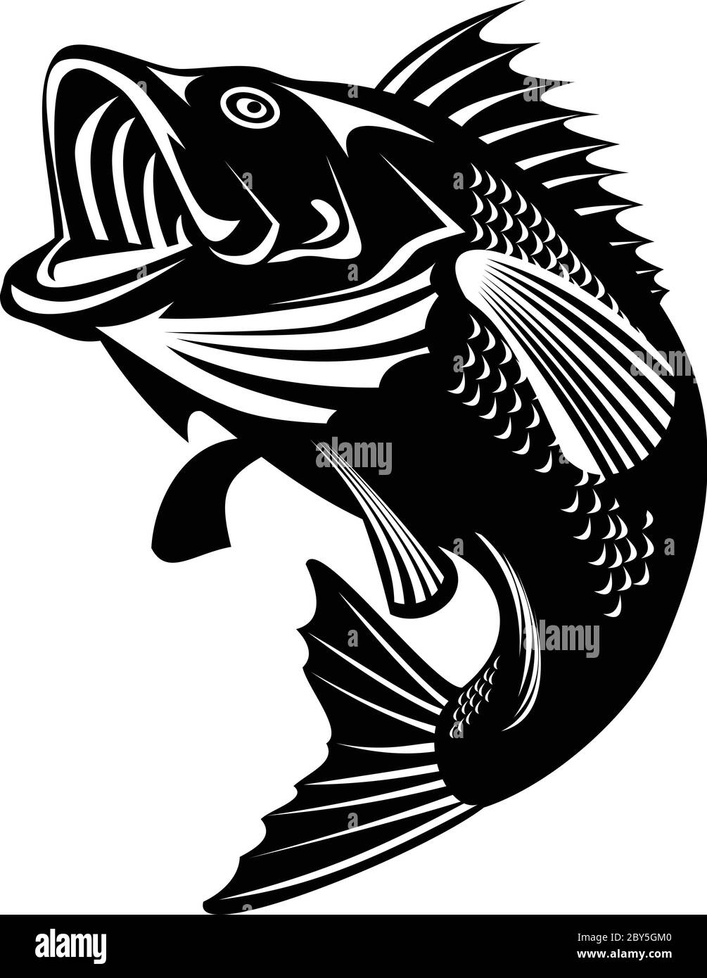 Illustrazione di un basso di largemouth della Florida, di un basso di Buckemouth o di widemouth, di specie di basso nero e di un gamefish carnivoro d'acqua dolce, nuotando in su fatto Illustrazione Vettoriale
