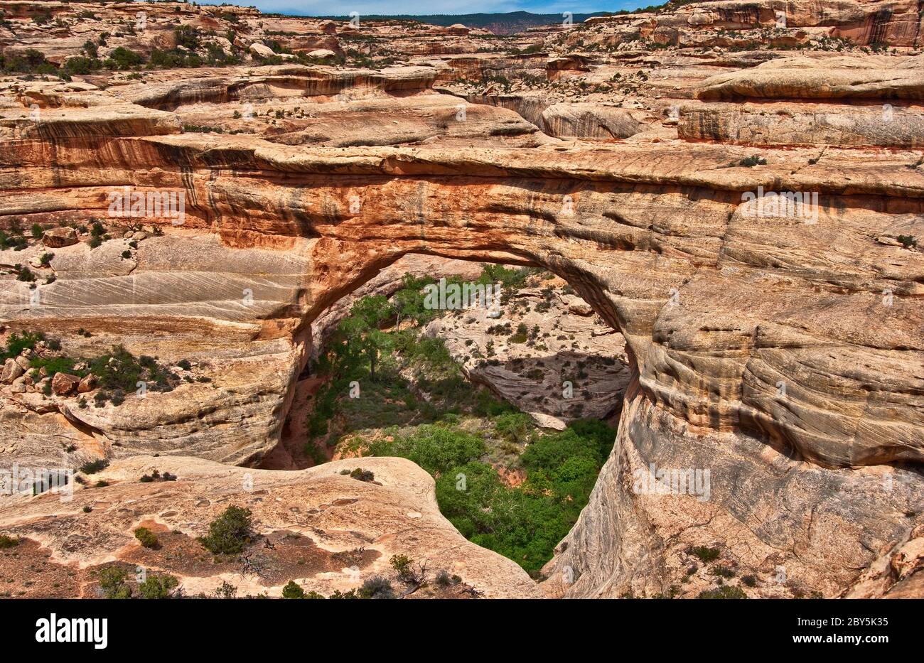 Sipapu Bridge a ponti naturali Nat. Monumento, Utah, Stati Uniti d'America Foto Stock