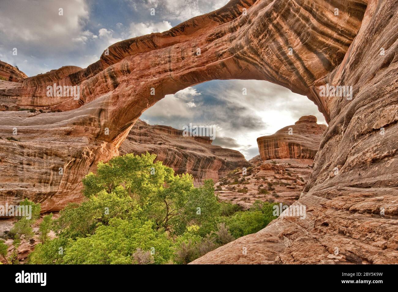 Sipapu Bridge a ponti naturali Nat. Monumento, Utah, Stati Uniti d'America Foto Stock