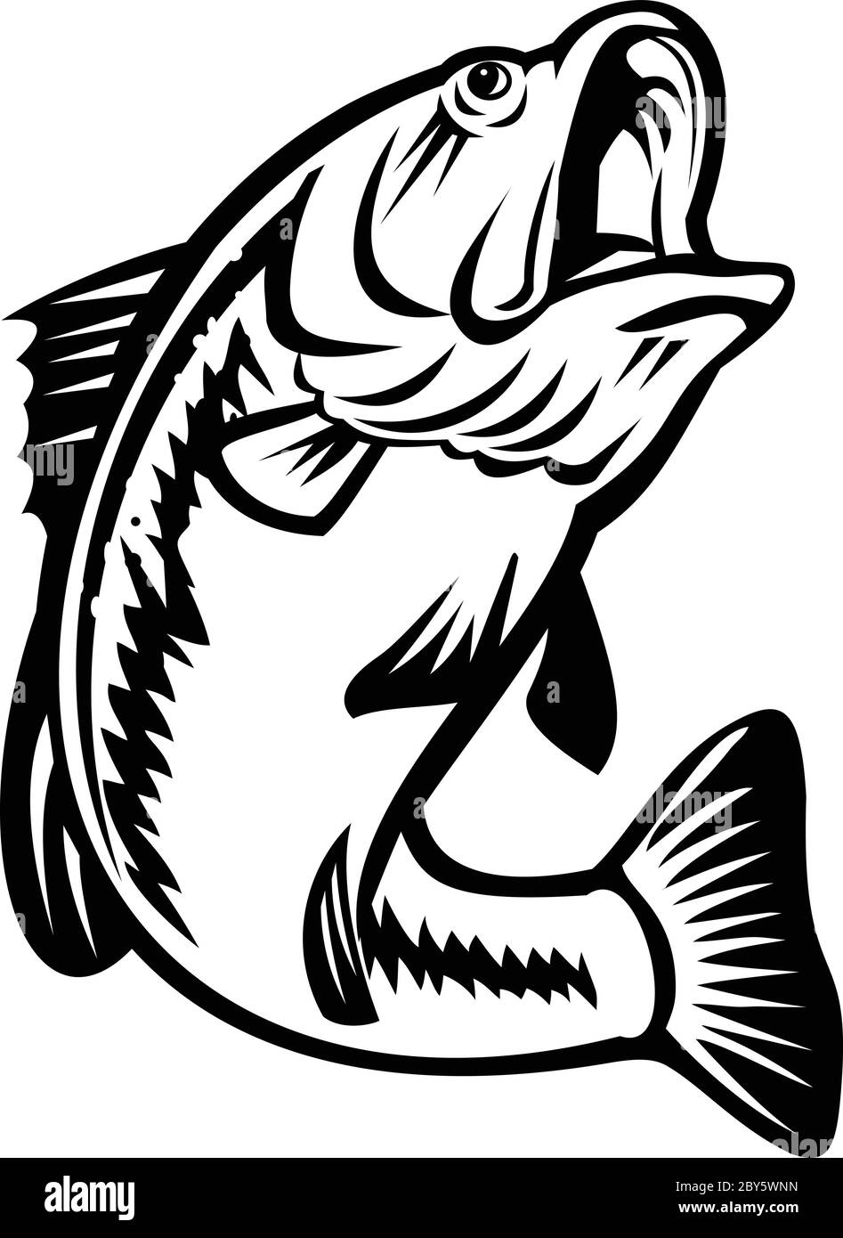 Illustrazione di un basso o di un largemouth del bucketmouth, specie di basso nero e di un gamefish carnivoro di acqua dolce, nuotando giù su sfondo isolato do Illustrazione Vettoriale