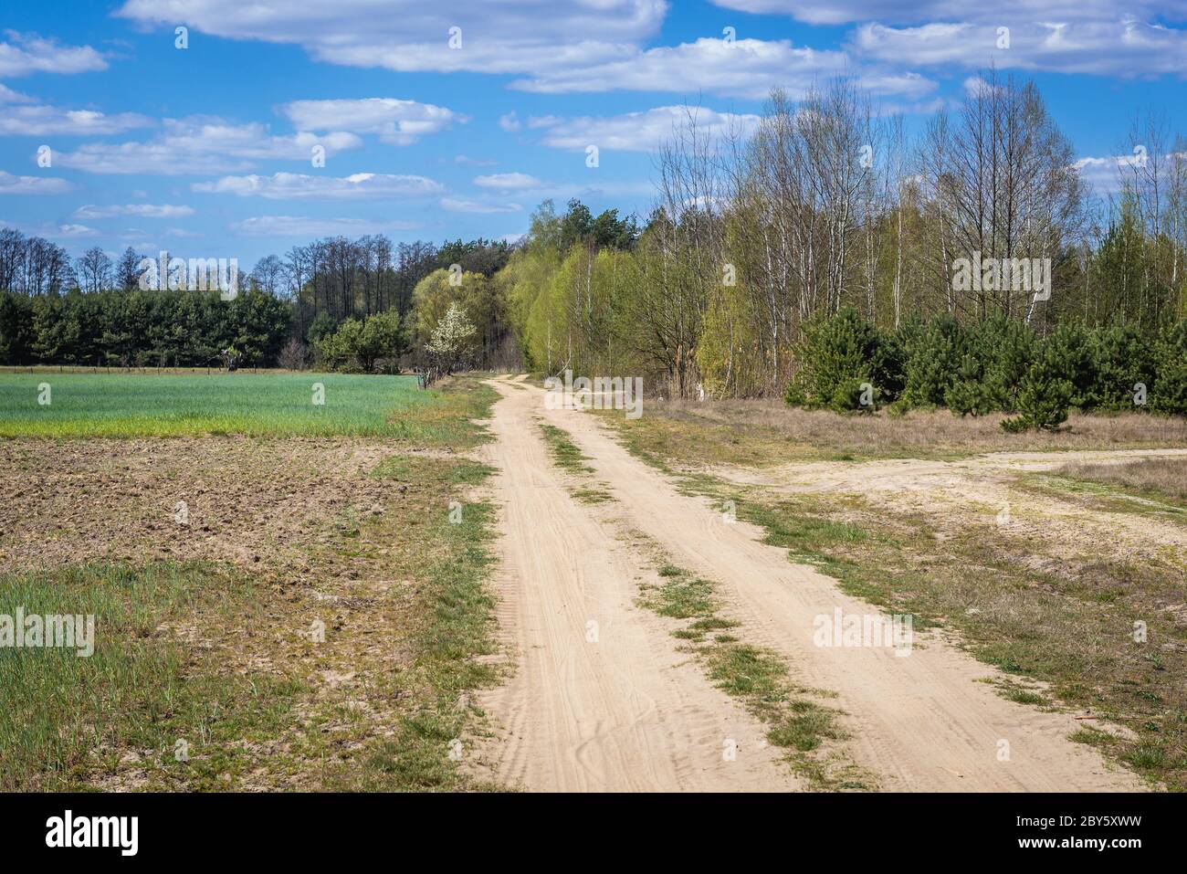 Strada di campo nel distretto di Gmina Korytnica, all'interno della contea di WGrow, Voivodato Masoviano della Polonia Foto Stock