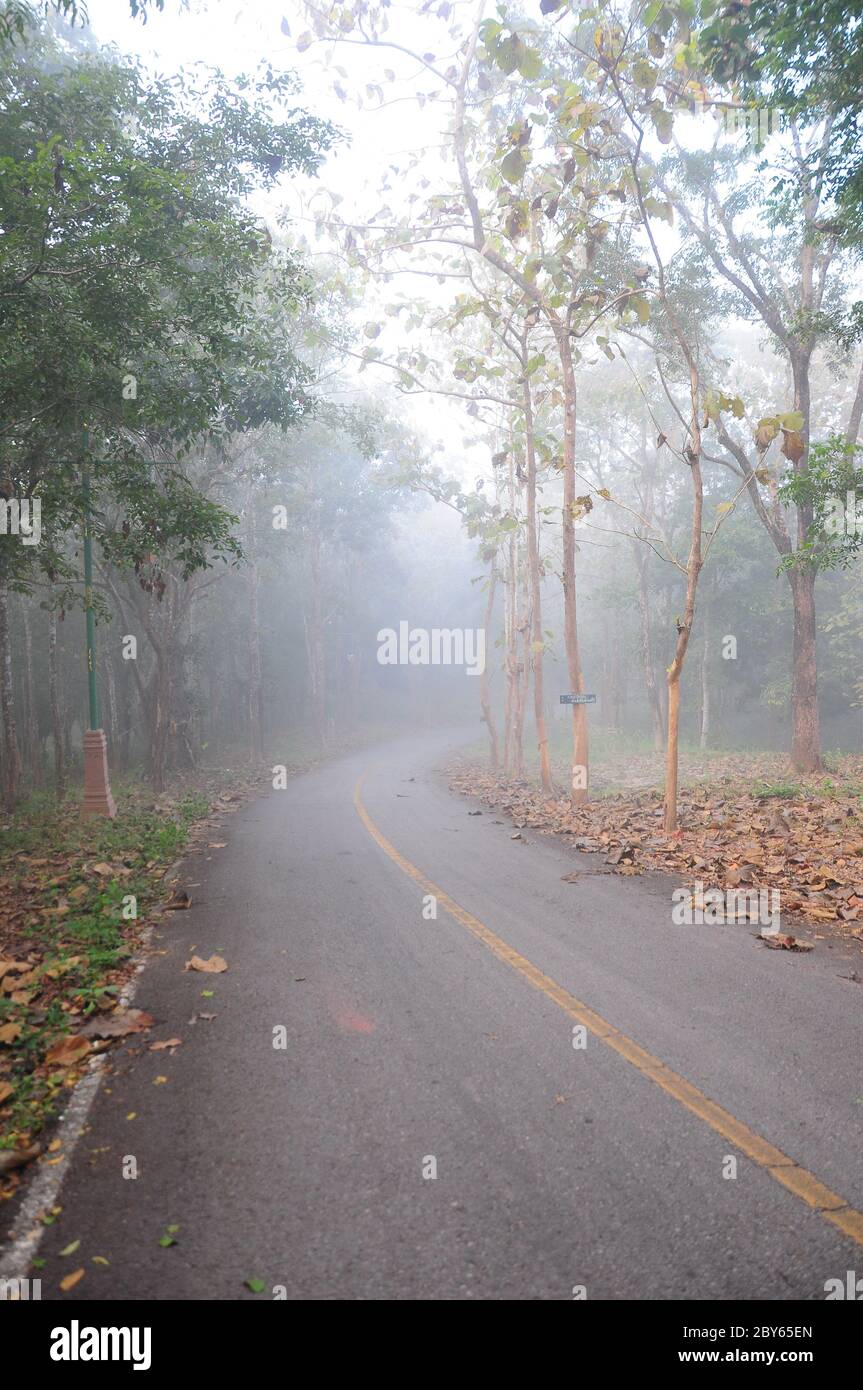 Immagine di una strada coperta di nebbia Foto Stock