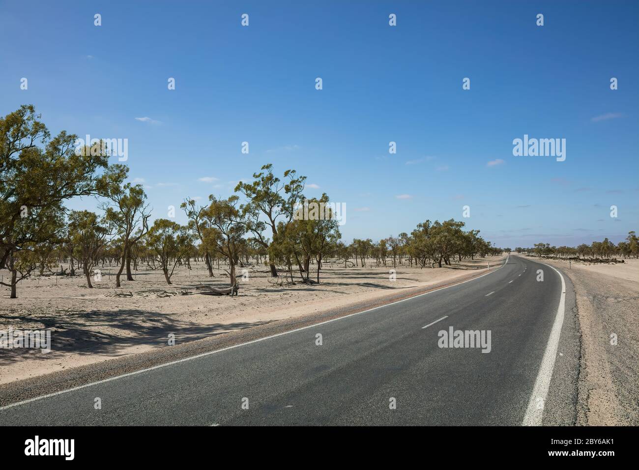La siccità ha colpito gli alberi vicino alla strada nell'entroterra dell'Australia del Sud Foto Stock