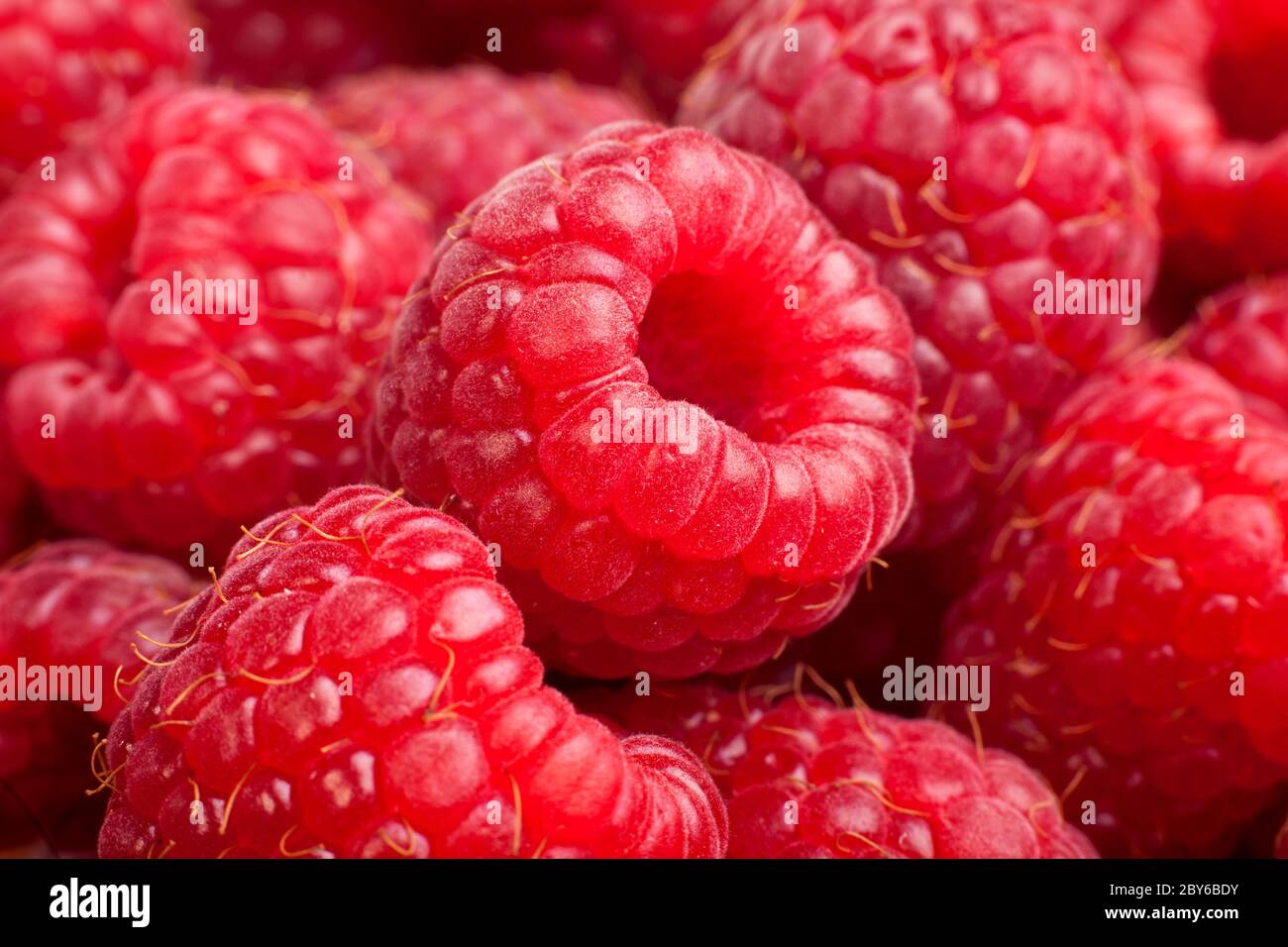 Mature rasberry sfondo. Close up macro shot di lamponi Foto Stock