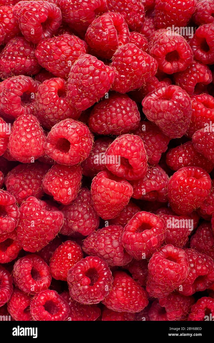 Mature frutta rasberry orizzontale fino in prossimità dello sfondo. Foto Stock
