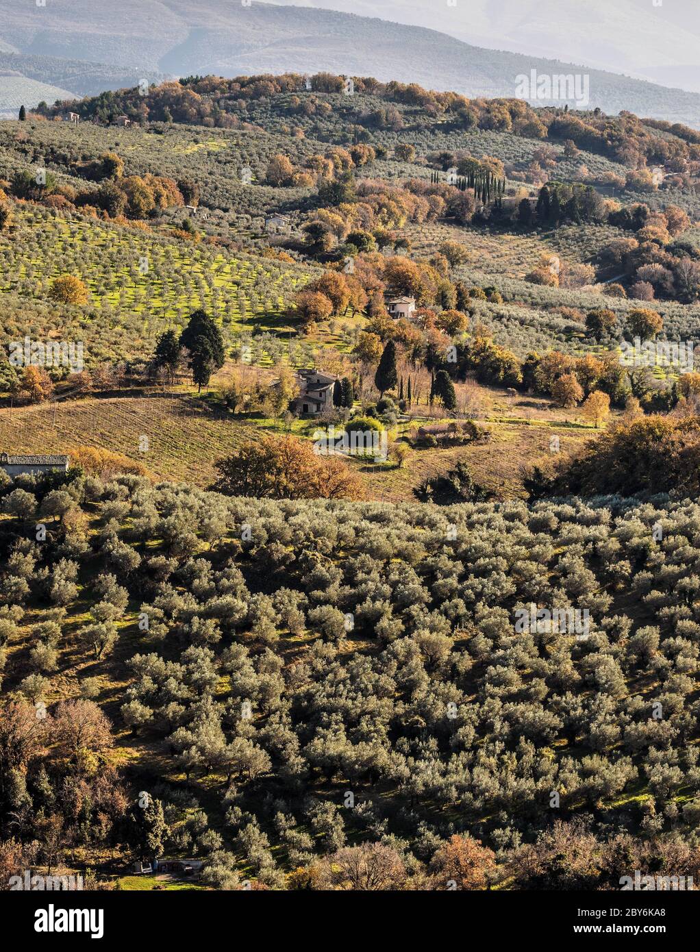 Suggestiva vista sulle colline che si vedono dal Monte Subasio, in Umbria, Italia. Alberi, campi, case, oliveti Foto Stock