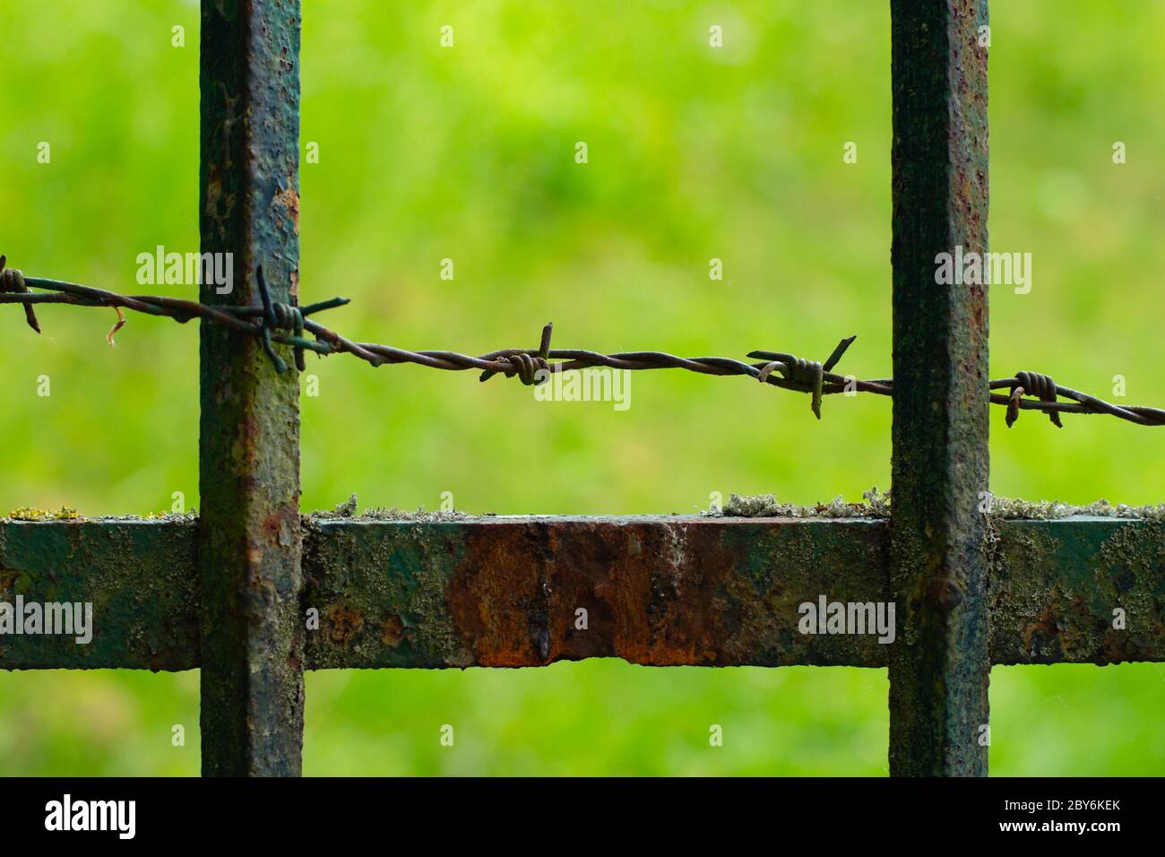 Primo piano di vecchio recinto arrugginito con filo spinato Foto Stock