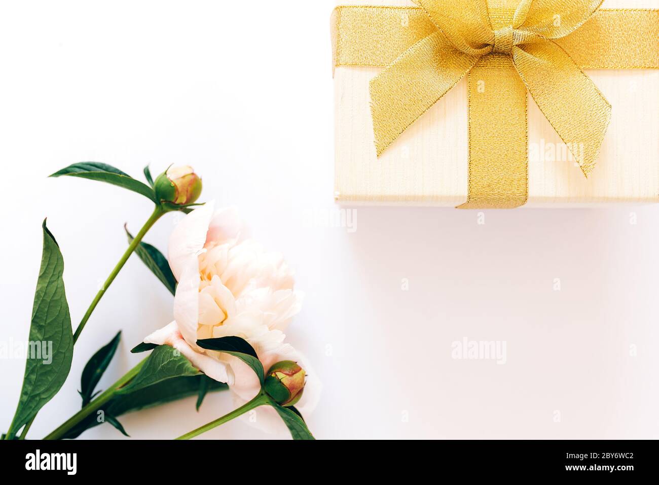 Bel bouquet di peonie e una scatola bianca con un arco giallo su sfondo bianco, peonie fiorite Foto Stock