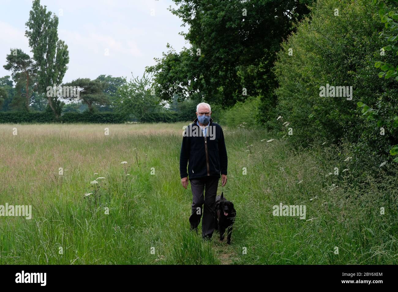 Uomo, cane Walking, Lockdown, maschera facciale, Covid 19, Coronavirus, esercizio, Pandemic, Precauzioni, Cheshire, Inghilterra, isolamento, fuori. Foto Stock