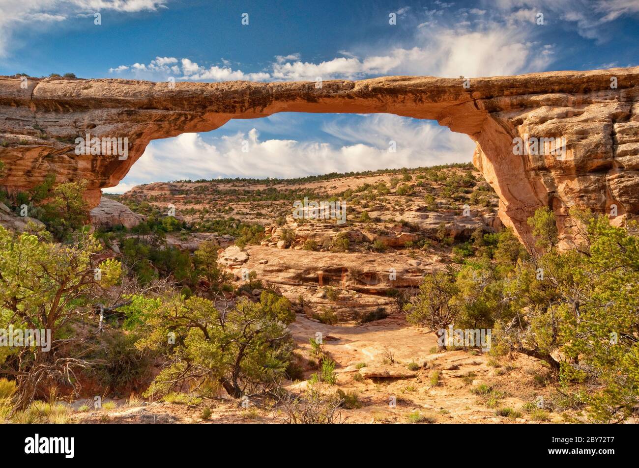 Ponte Owachomo a Natural Bridges Nat. Monument, Utah, Stati Uniti Foto Stock