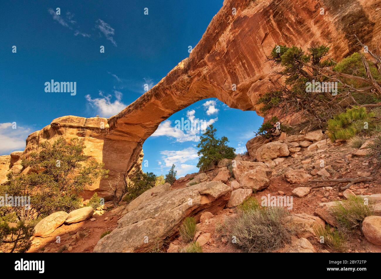 Ponte Owachomo a Natural Bridges Nat. Monument, Utah, Stati Uniti Foto Stock