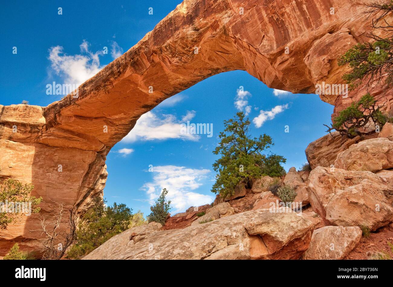 Ponte Owachomo a Natural Bridges Nat. Monument, Utah, Stati Uniti Foto Stock