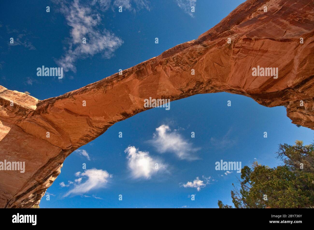Ponte Owachomo a Natural Bridges Nat. Monument, Utah, Stati Uniti Foto Stock