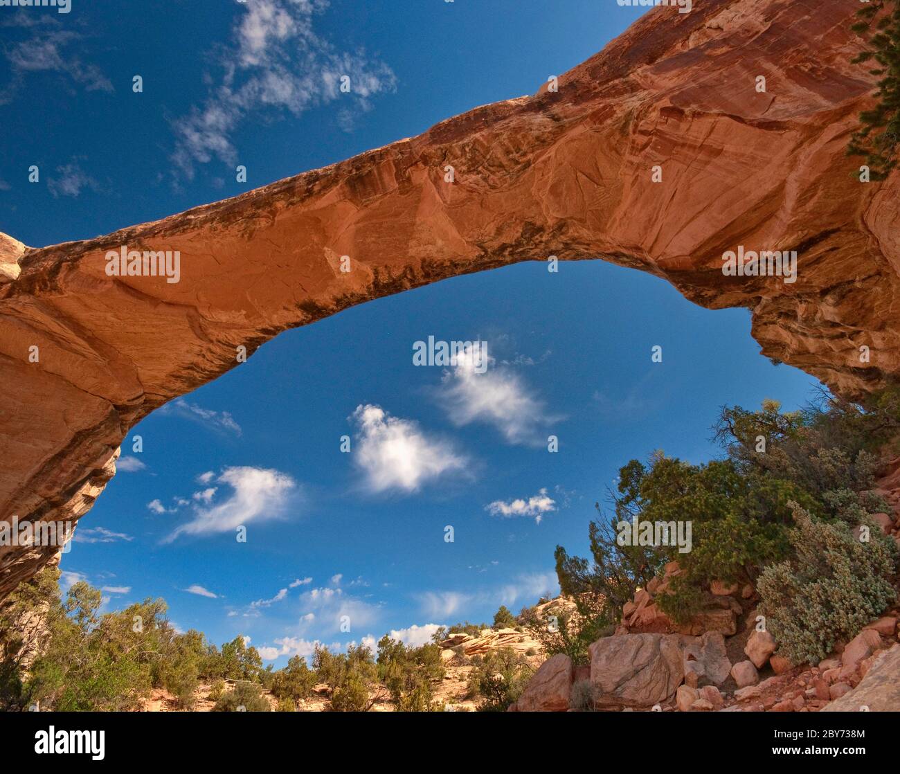 Ponte Owachomo a Natural Bridges Nat. Monument, Utah, Stati Uniti Foto Stock