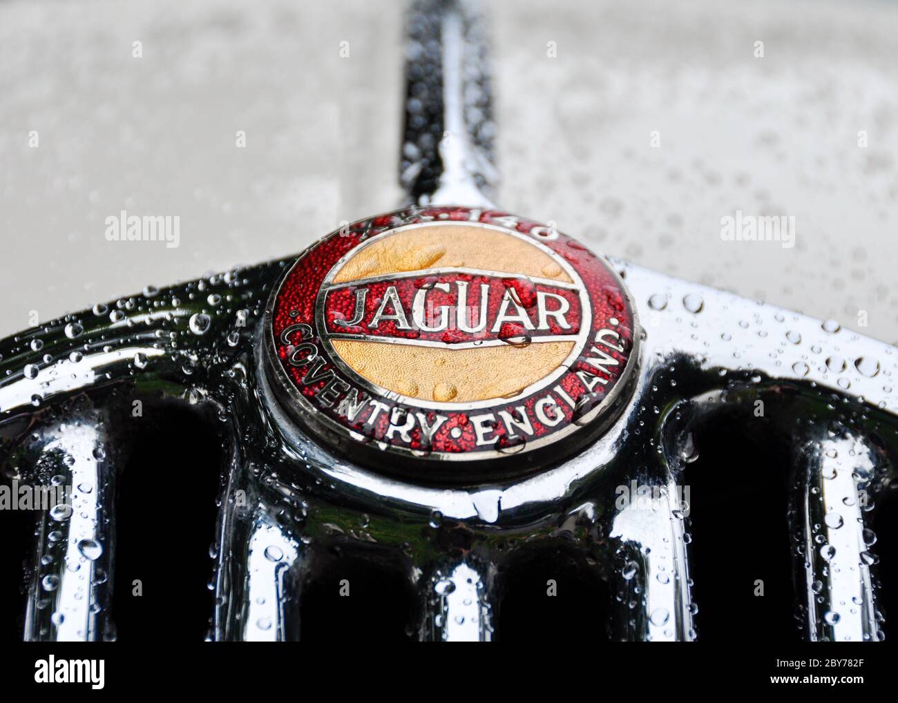 Logo Jaguar sulla griglia del radiatore Jaguar XK140. Gocce di pioggia sulla griglia e sulla carrozzeria. Foto Stock