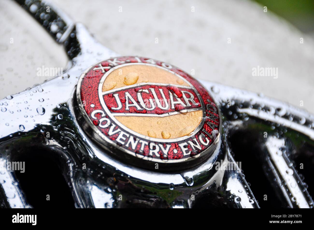 Logo Jaguar sulla griglia del radiatore Jaguar XK140. Gocce di pioggia sulla griglia e sulla carrozzeria. Foto Stock