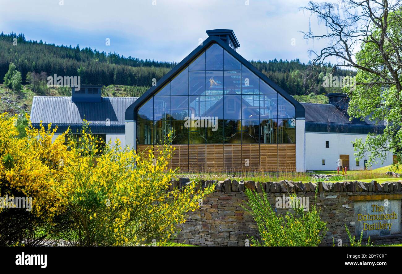 DISTILLERIA DI WHISKY DALMUNACH CARRON MORAY SCOZIA L'EDIFICIO PRINCIPALE CON ALAMBICCHI DI RAME E FIORI DI GINESTRA GIALLI Foto Stock