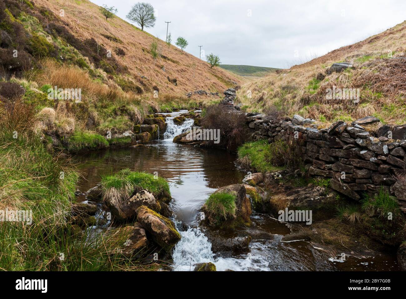 Cascata River Dane, Peak District National Park, Stafford-shire, Inghilterra, Regno Unito Foto Stock