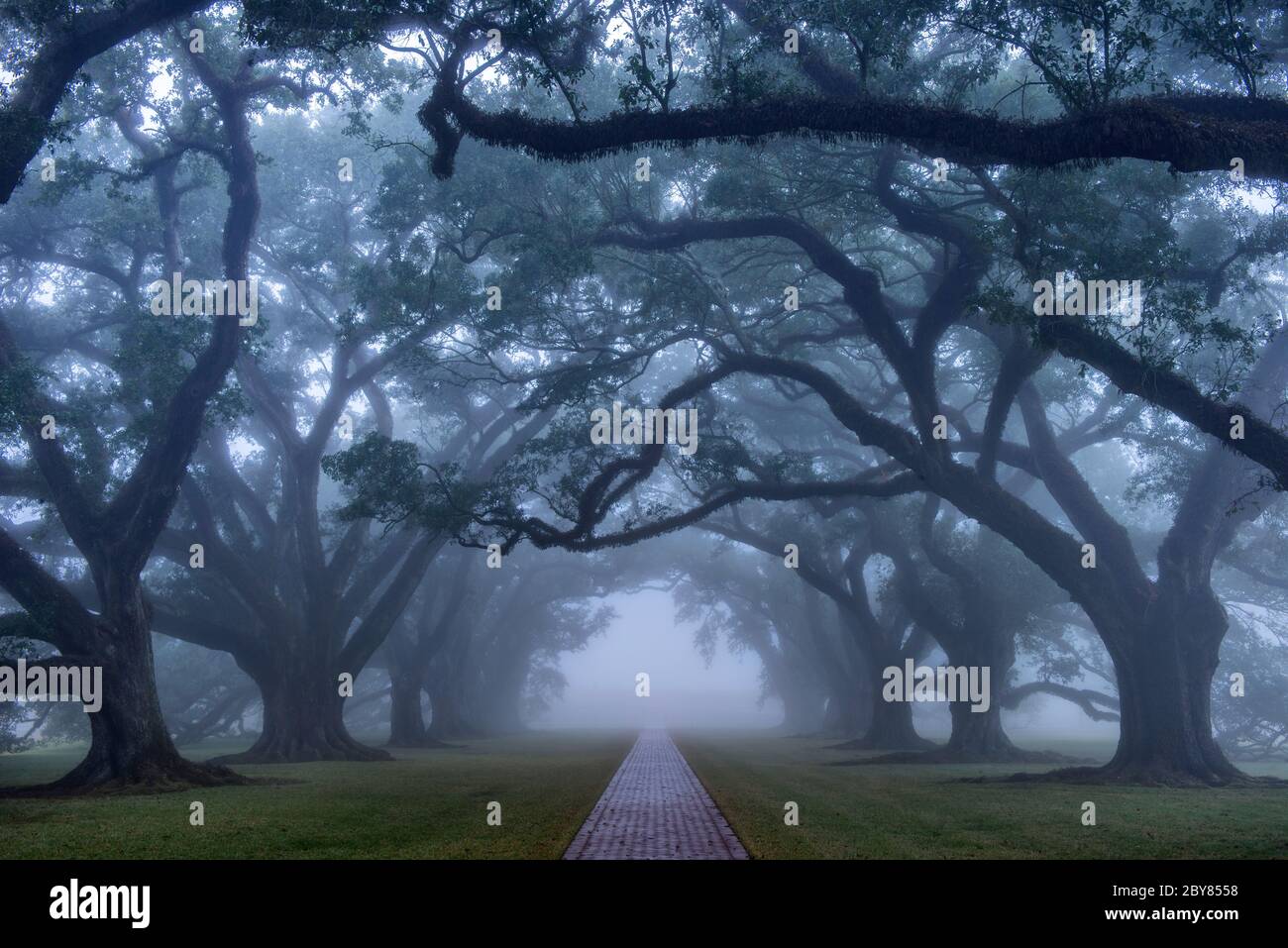 USA, Louisiana, St James Parish, Vacherie, Oak Alley Plantation Foto Stock