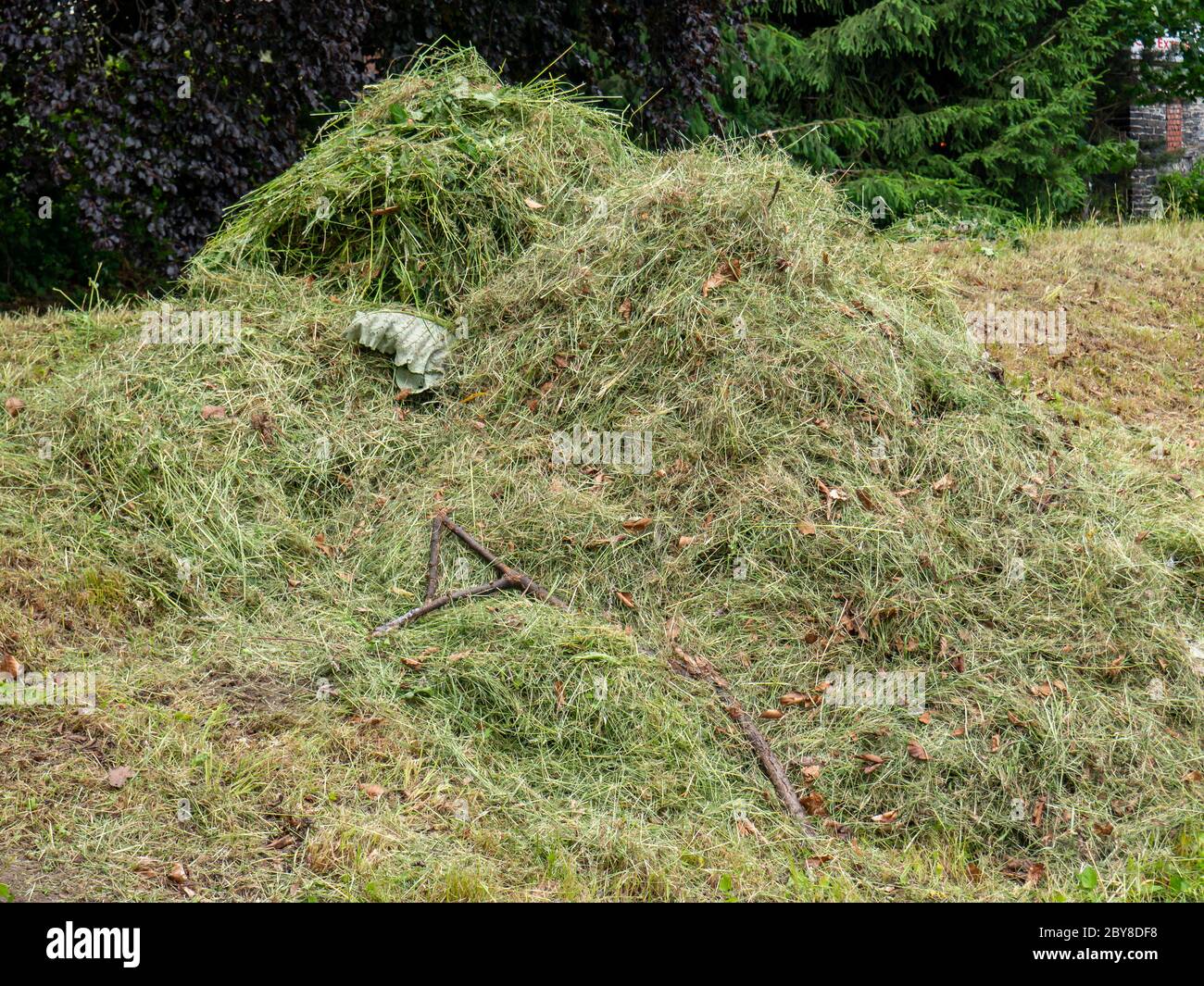 Mucchio di erba tagliata verde nel parco Foto Stock