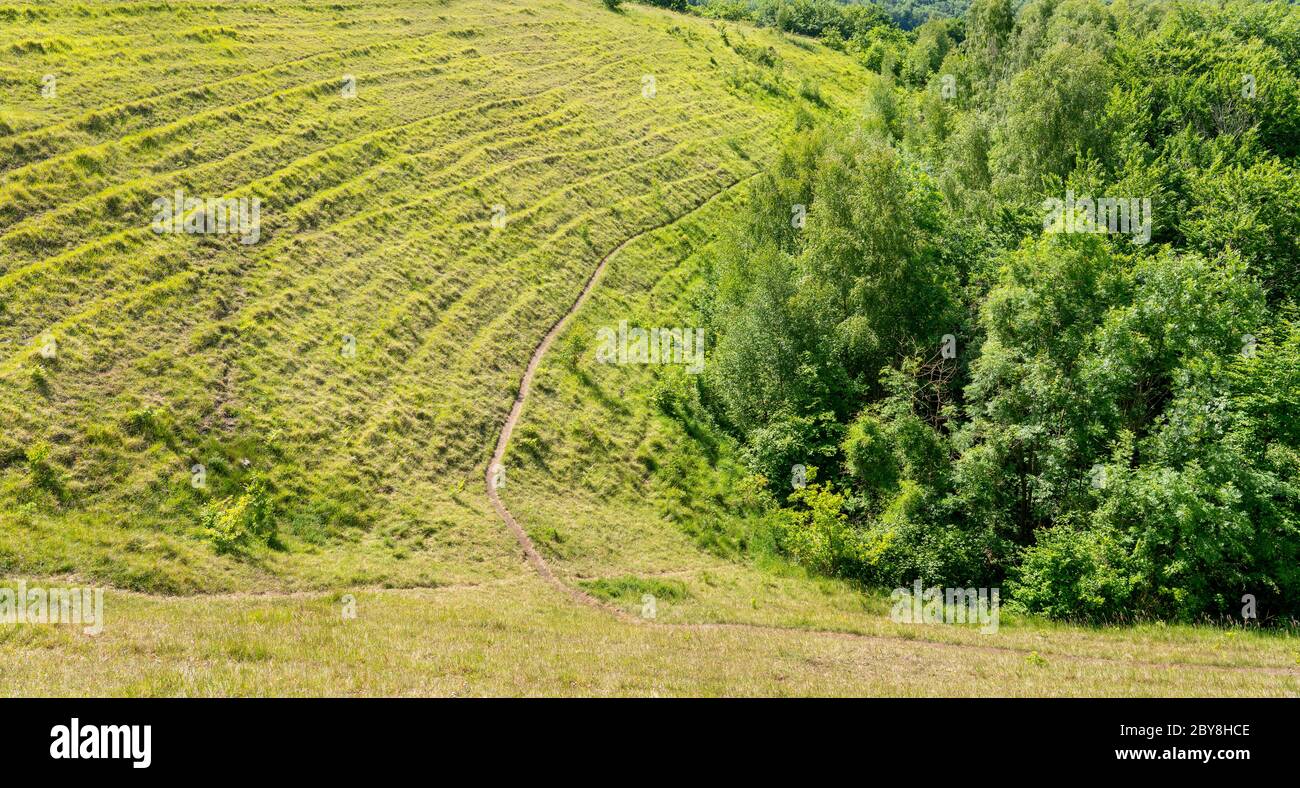Rodborough comune sopra Stroud nelle colline del Cotswold di Gloucestershire UK con ripide pendenze ricche di specie praterie Foto Stock