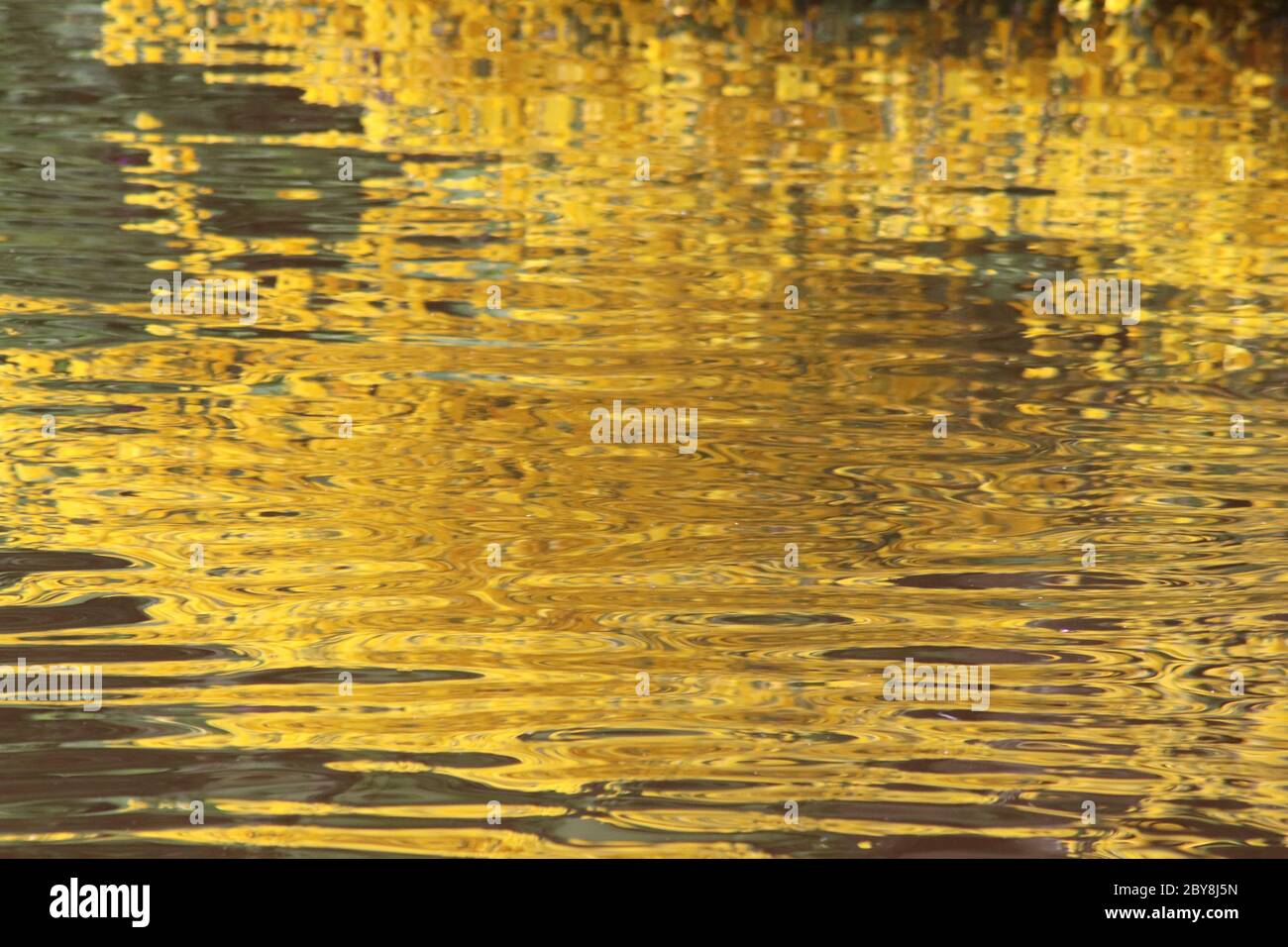 Riflessi oro e verde in stagno Foto Stock