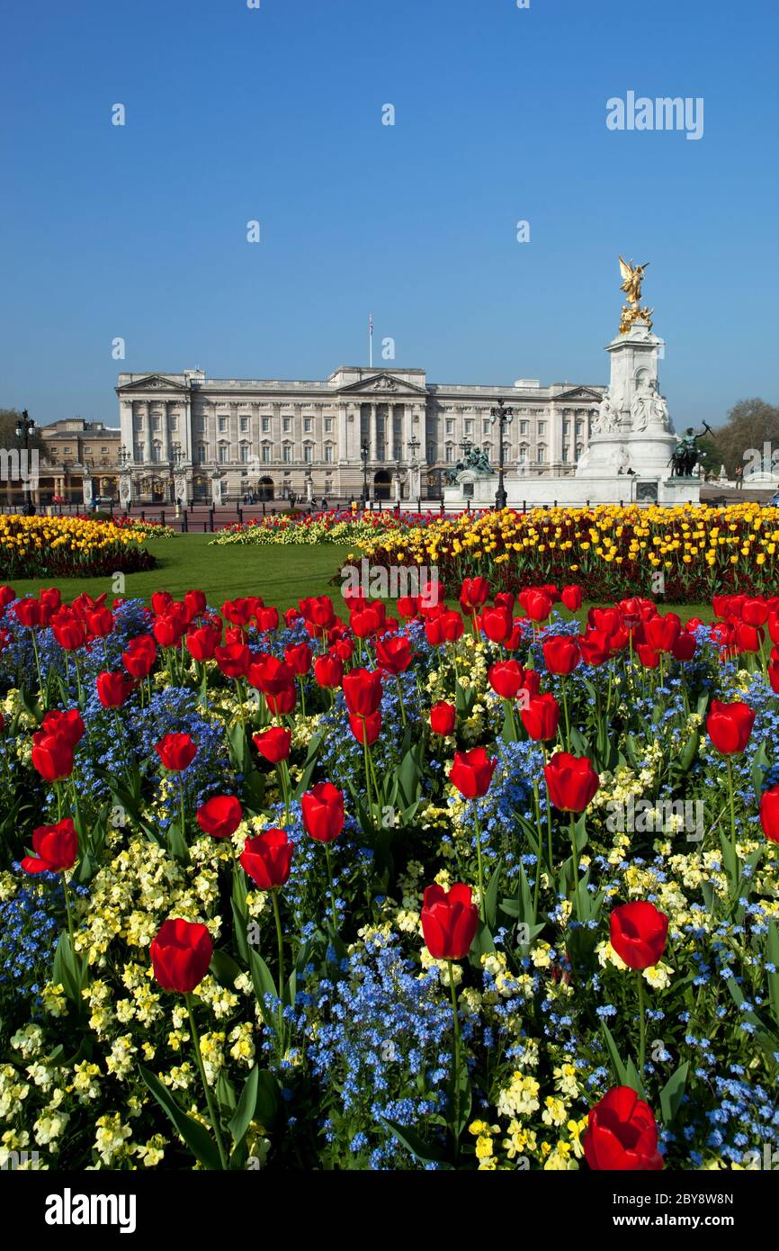 Buckingham Palace e il Queen Victoria Memorial con i tulipani di primavera, Londra, Inghilterra, Regno Unito Foto Stock