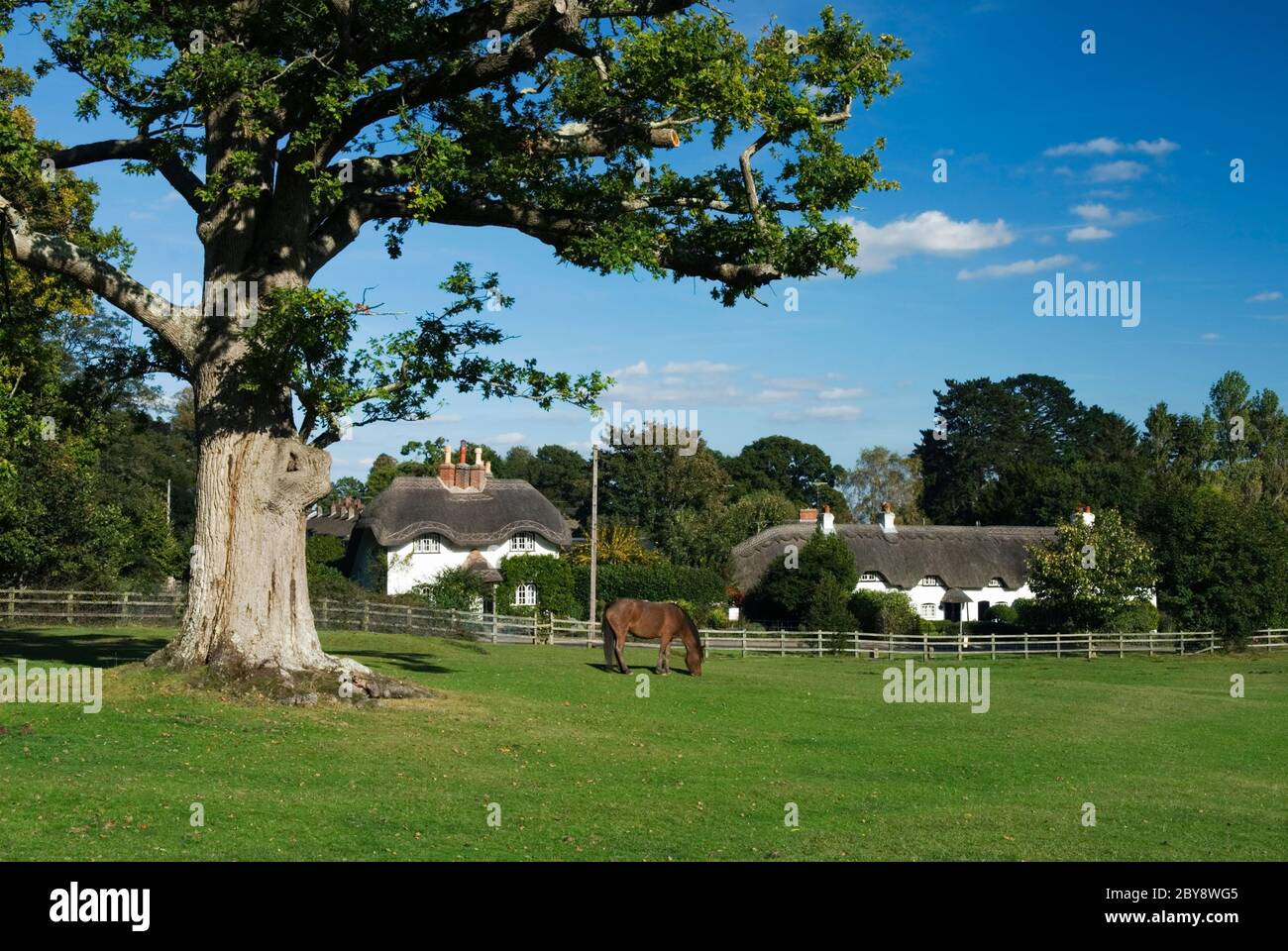 Swan Green, New Forest, Hampshire, Inghilterra, Regno Unito Foto Stock