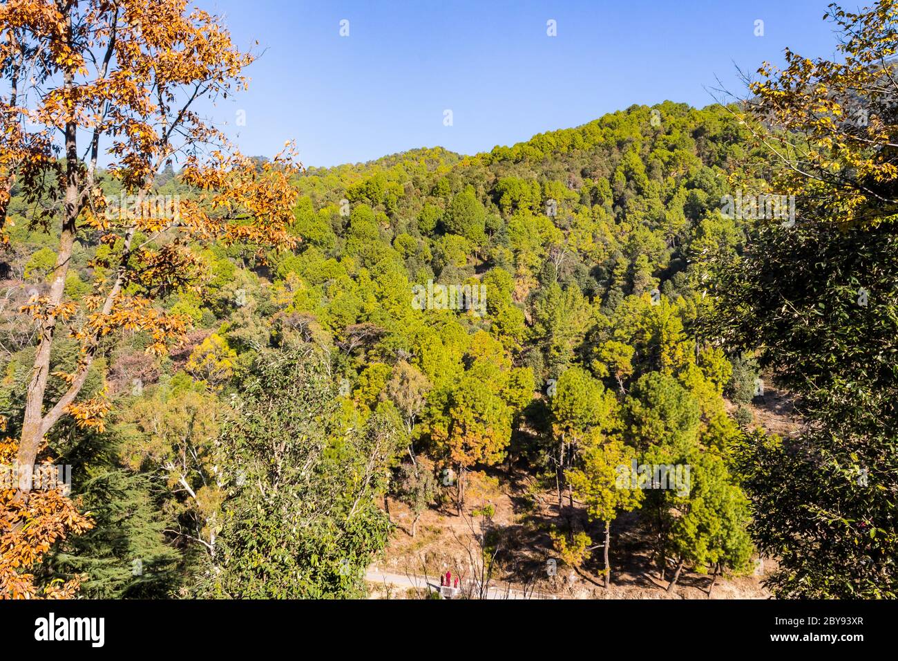 Campeggio a Bir and Billing, Himachal Pradesh, India. Bir e Billing nel distretto di Kangra nello stato di Himachal sono luoghi molto popolari per gli sport di avventura Foto Stock Campeggio a Bir and Billing, Himachal Pradesh, India. Bir e Billing nel distretto di Kangra nello stato di Himachal sono luoghi molto popolari per gli sport di avventura Foto Stock