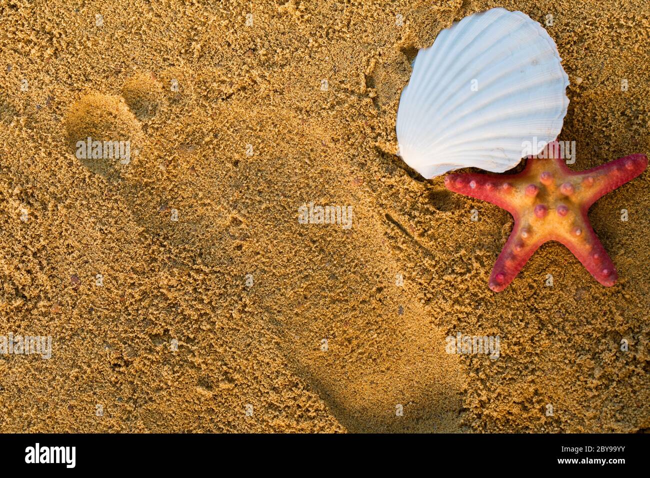 Una traccia sul cigolio di un piede umano impresso. La conchiglia e le stelle marine si trovano sulla spiaggia. Foto Stock