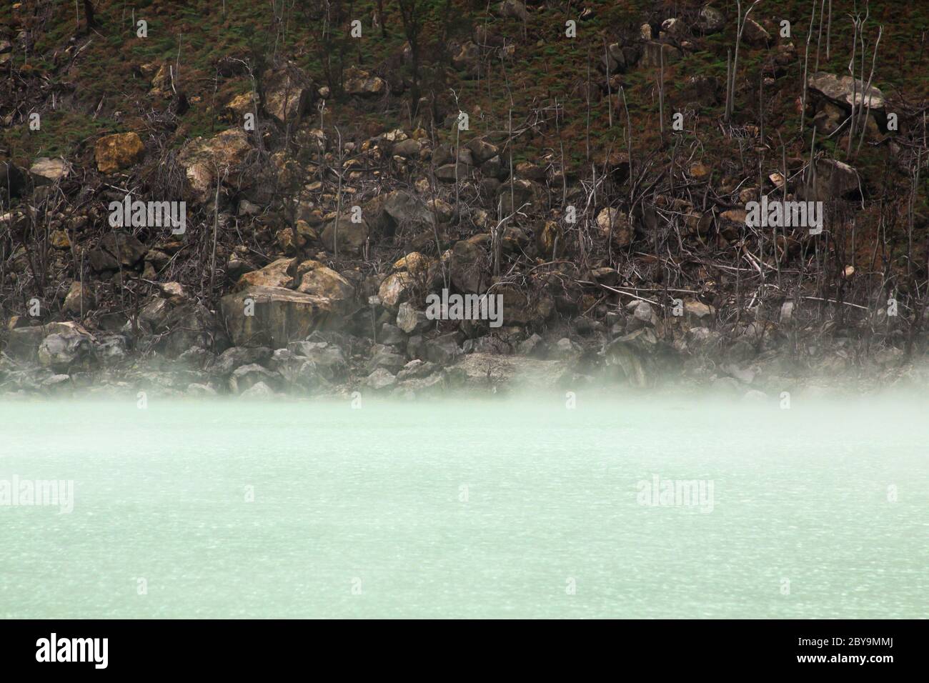 La nebbia evapora sul lago del vulcano Kawah Putih, vicino a Bandung, Indonesia. Si tratta di un lago solforico situato nel cratere vulcanico della zona montuosa di Ciwi Foto Stock
