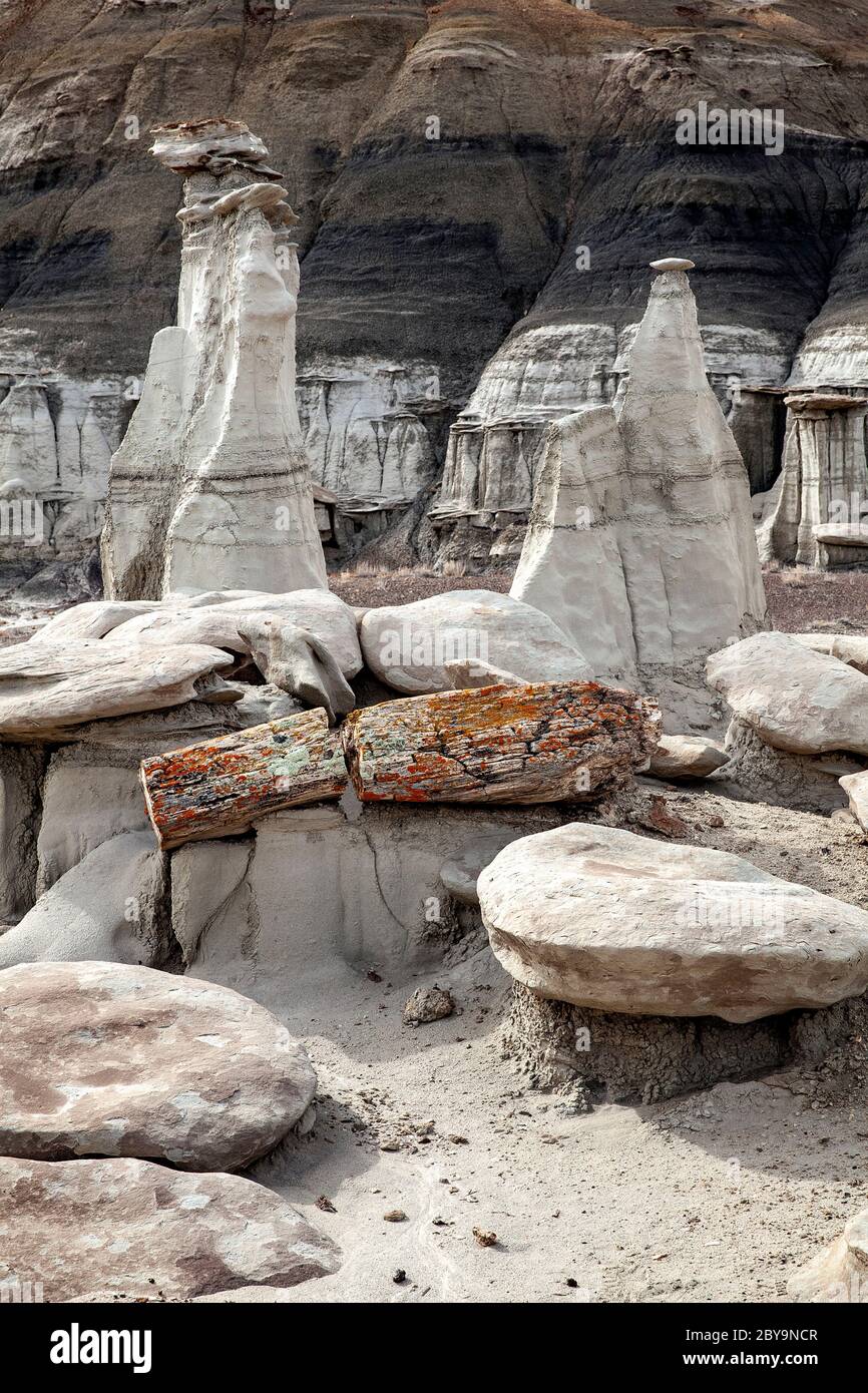 NM00573-00...NUOVO MESSICO - formazioni con legno pietrificato nella natura selvaggia di Bisti (Bisti/De-Na-Zin), parte della nazione Navajo. Foto Stock