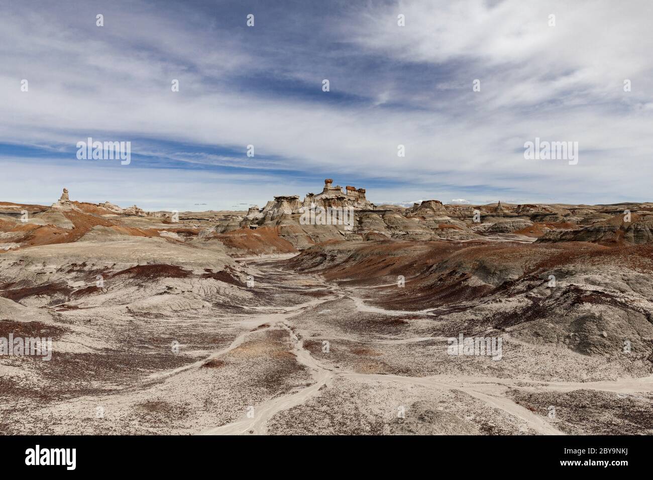 NM00574-00...NUOVO MESSICO - formazioni nella natura selvaggia di Bisti (Bisti/De-Na-Zin), parte della nazione Navajo. Foto Stock