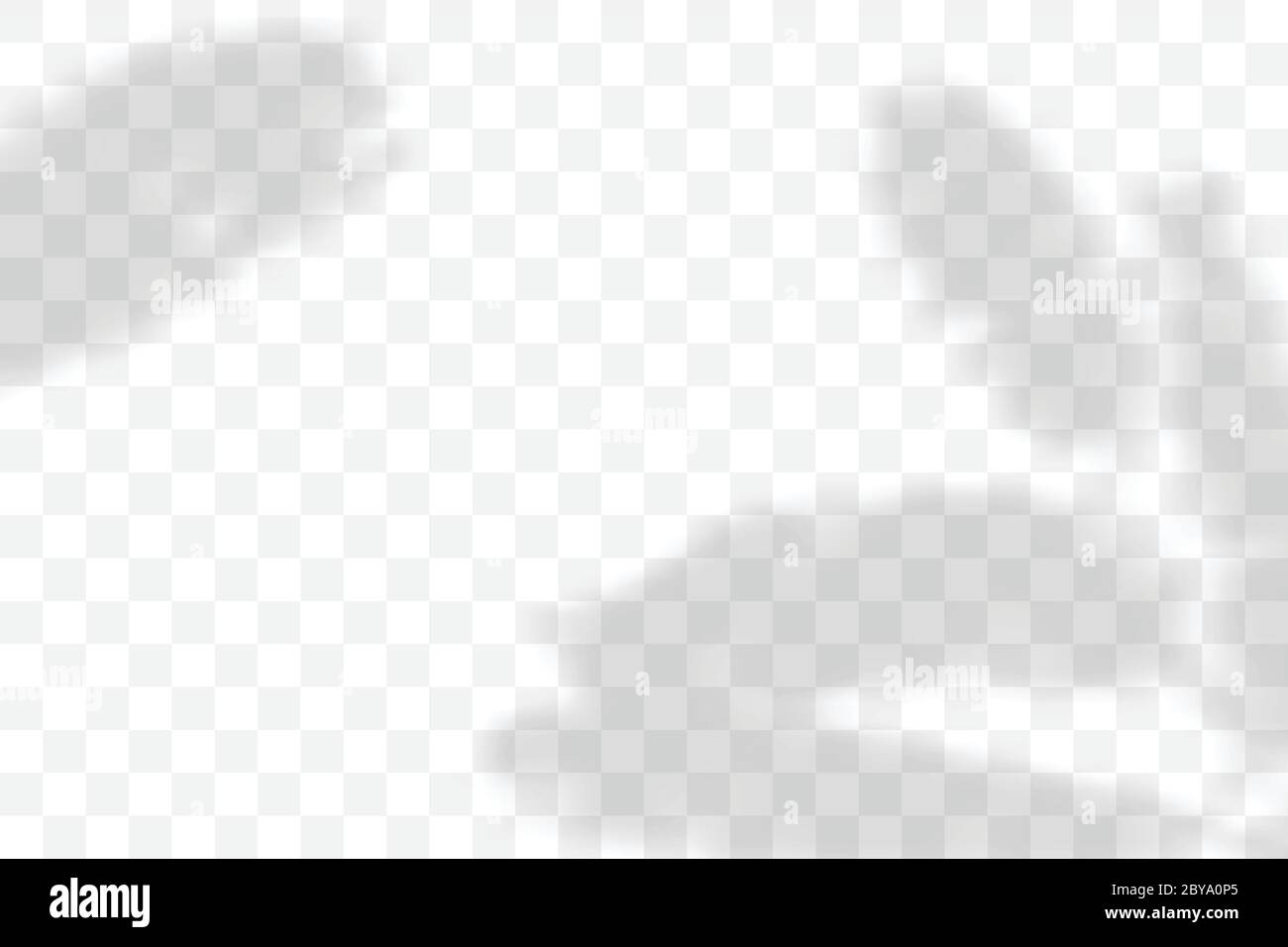 Vettore trasparente naturale pianta ombra. Sovrapposizione effetto luce. Griglia mesh. Presentazione la vostra scheda di disegno, poster, storie Foto illustrazione realistica Illustrazione Vettoriale